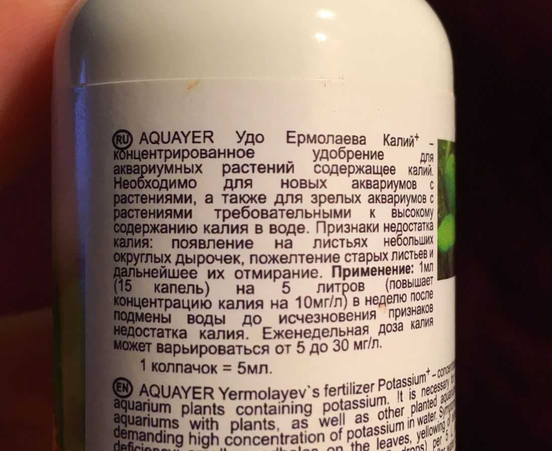 Запуск аквариума: пошаговая инструкция для начинающих