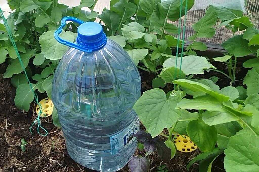 Делаем систему капельного полива из пластиковых бутылок