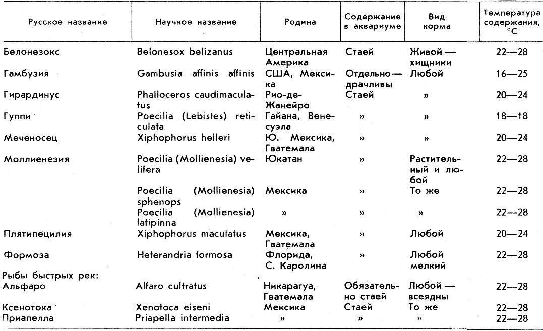 Оптимальная температура для аквариумных рыб