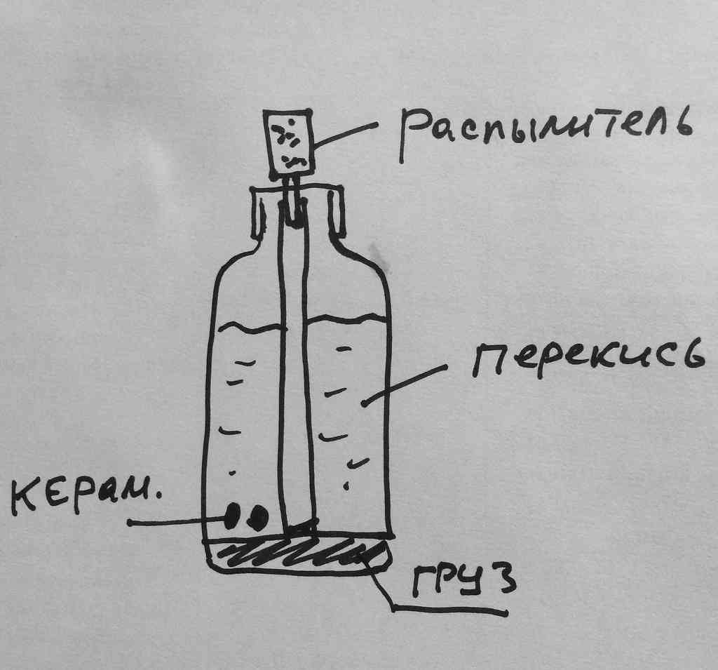 Манка (ихтиофтириоз) у аквариумных рыб: фото, лечение и профилактика