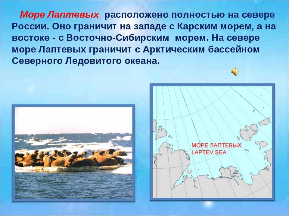 Характеристика птк моря лаптевых. море лаптевых: описание и характеристика, острова и карта, впадающие реки. донный рельеф моря лаптевых