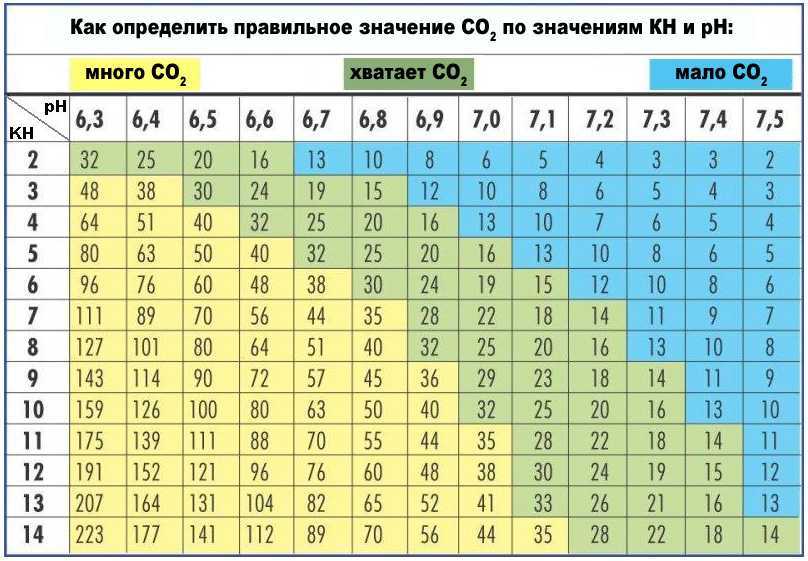 Нитраты в аквариуме: как понизить, проверить, бороться и удерживать