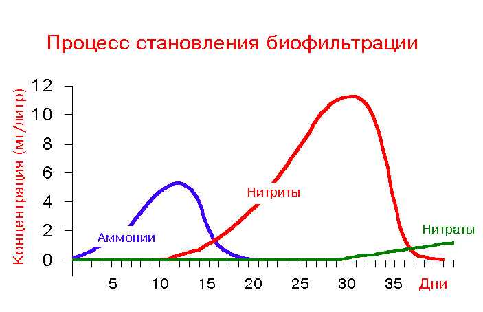 Рейтинг удобрений для аквариумных растений