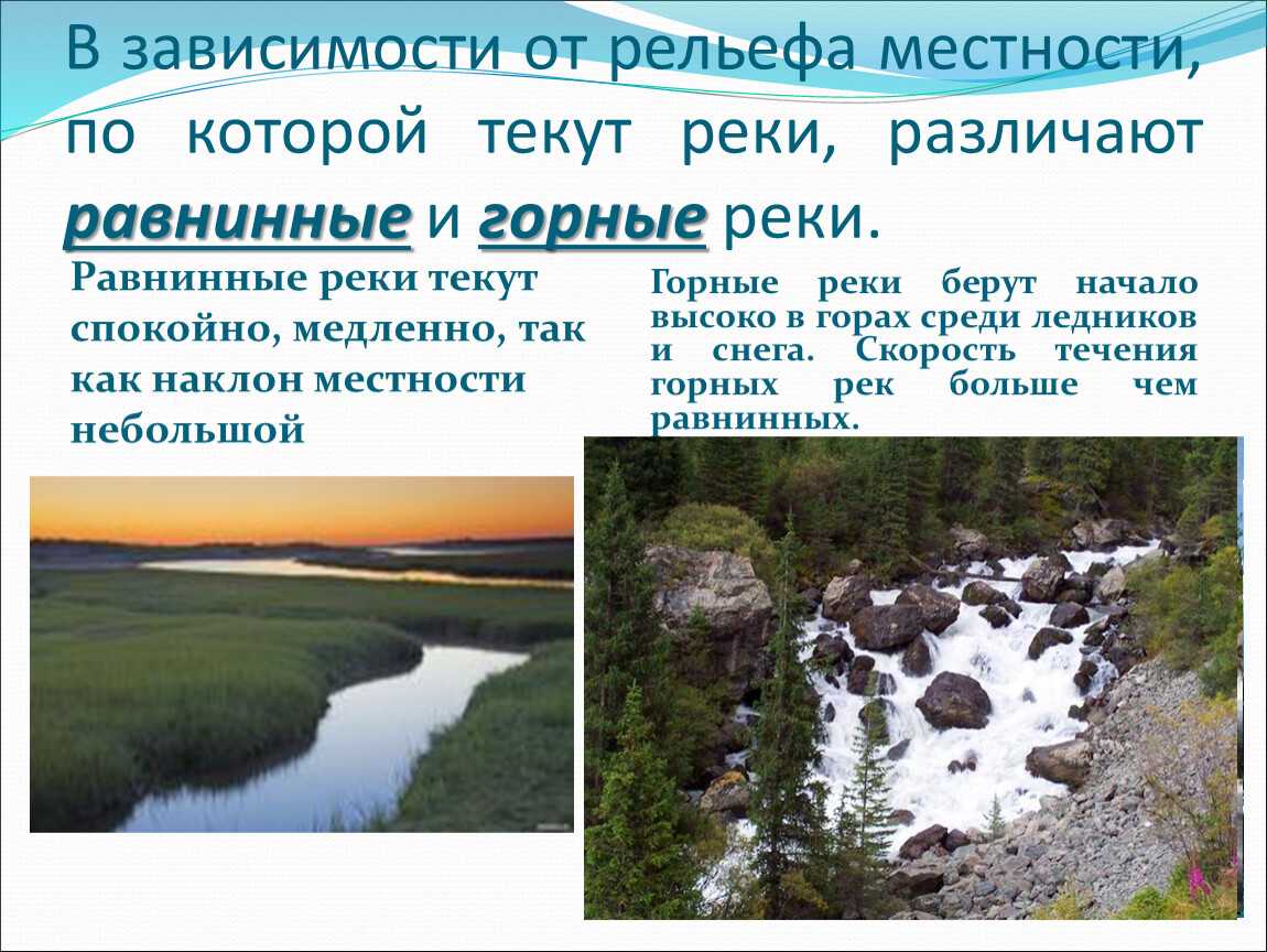 Влияние климата на режим реки амазонки: поток воды и экосистема