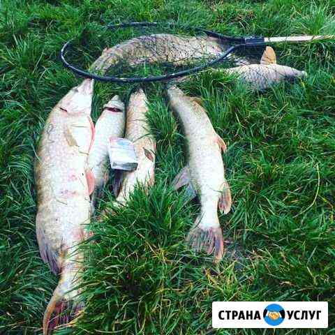 Озеро Муромское, вся информация, как добраться, все виды рыб, глубины, рыбалка, отдых, рельеф дна, подробное описание