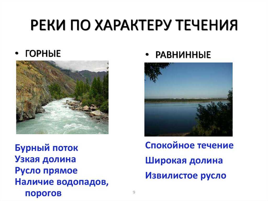 Какие основные источники питания реки амазонка?