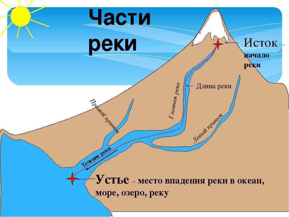 Какие бывают типы устьев рек