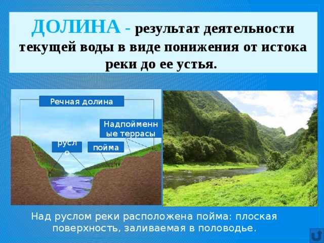 Экология