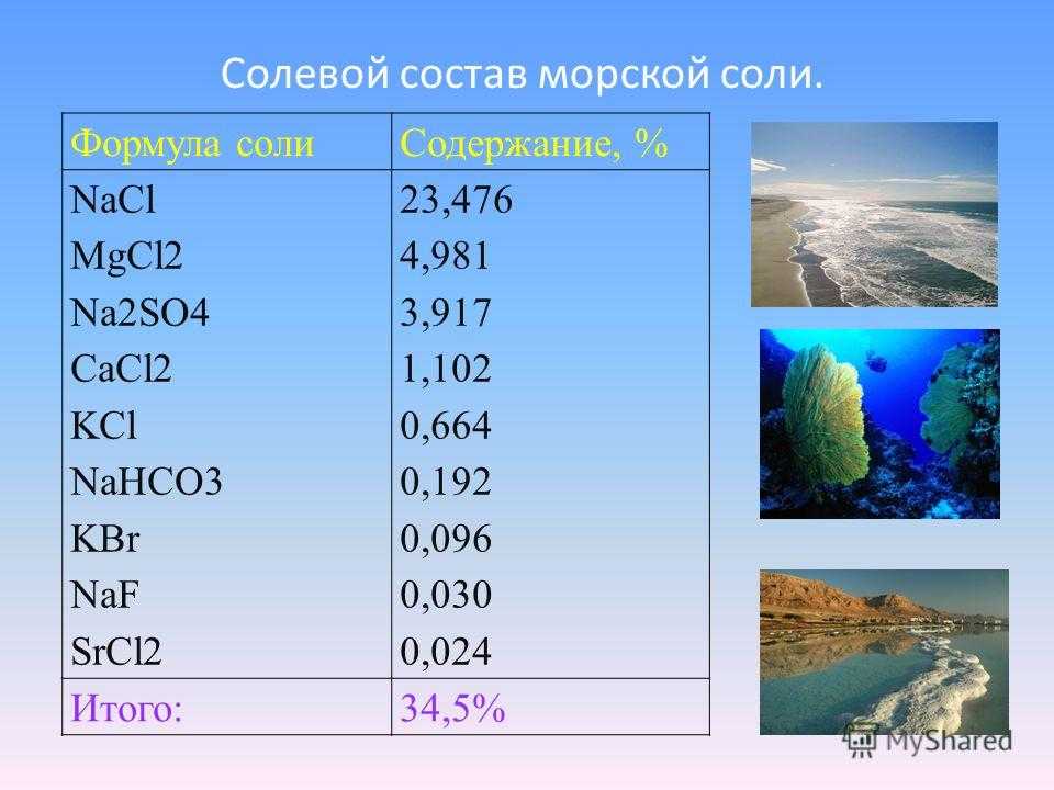 Самые соленые моря в мире: топ-15 в 2024 году