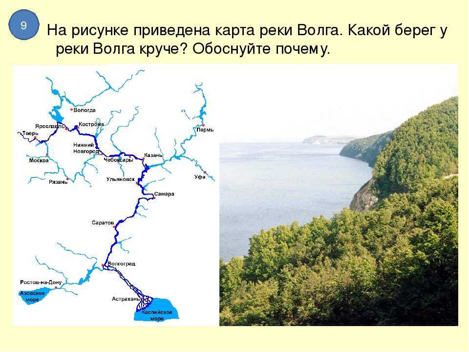Река волга - самая длинная река в россии, исток, устье, бассейн, глубина, притоки, города на волге, интересные факты.