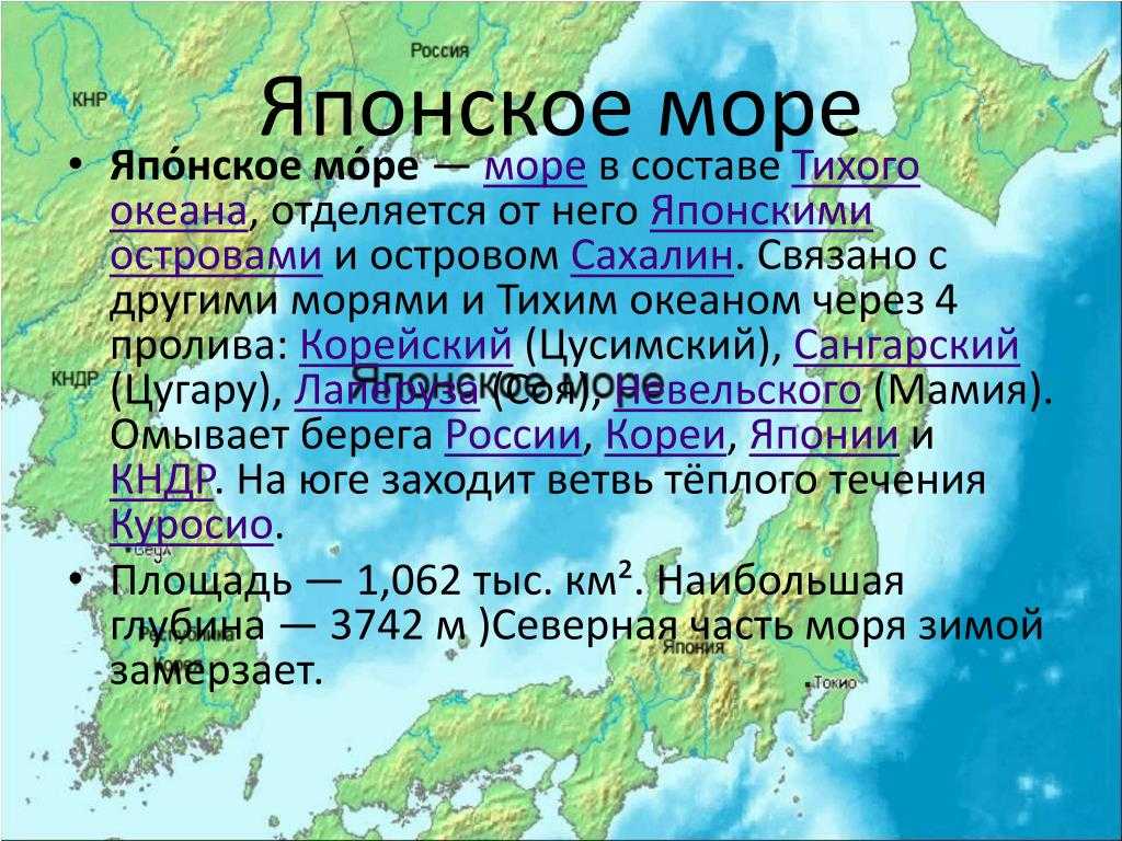 Река амур - длина, бассейн реки, протекает на карте по границе россии, притоки, глубина