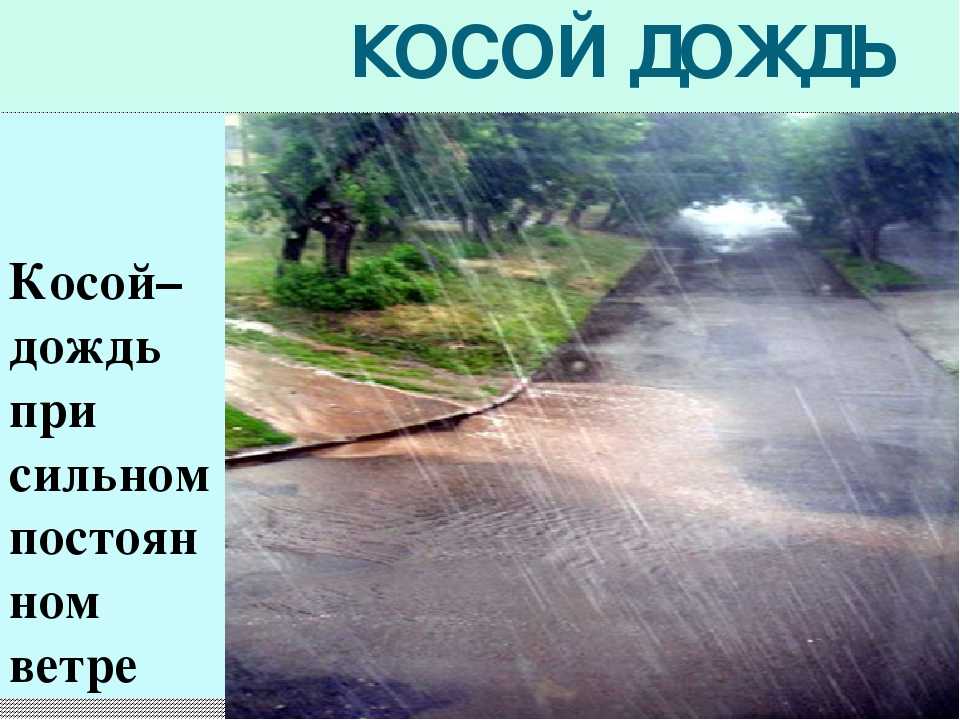 Что происходит с природой в дождливую погоду кратко