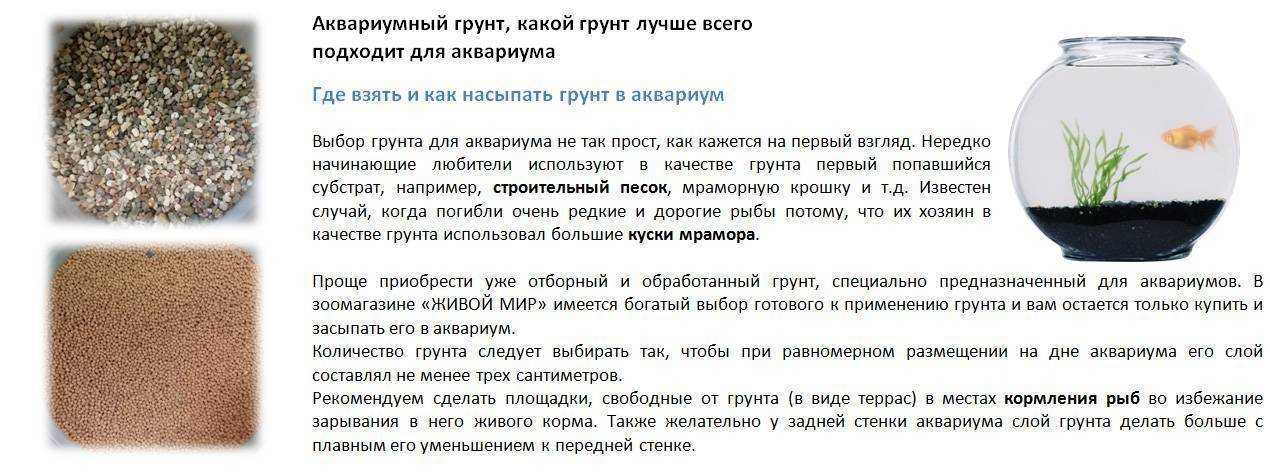 Лечение солью аквариумных рыбок: пропорции и дозировка, профилактика