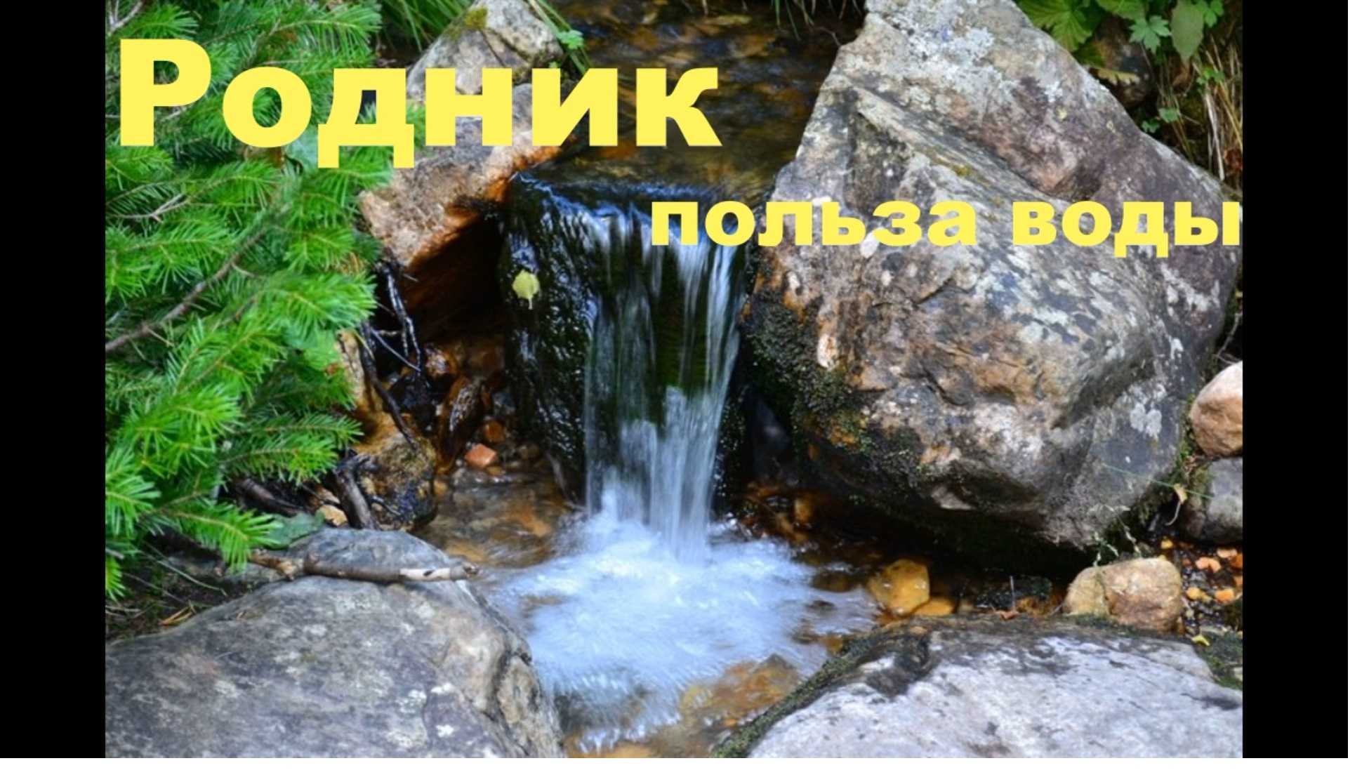 Вода из родника: может ли вода из родника быть вредной? —  
