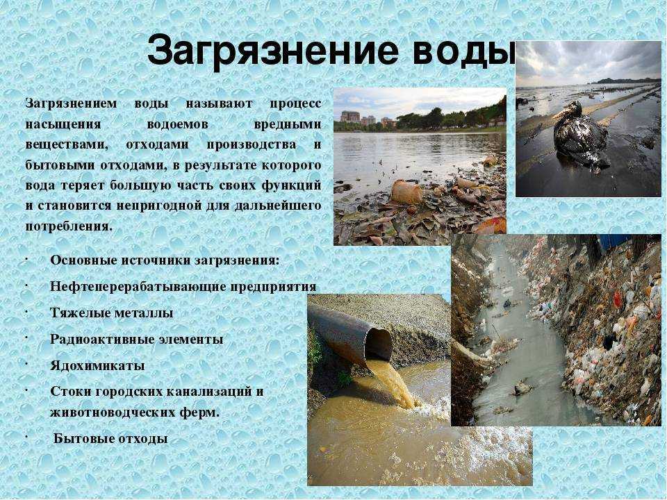 Река дон — описание, притоки, флора и фауна бассейна