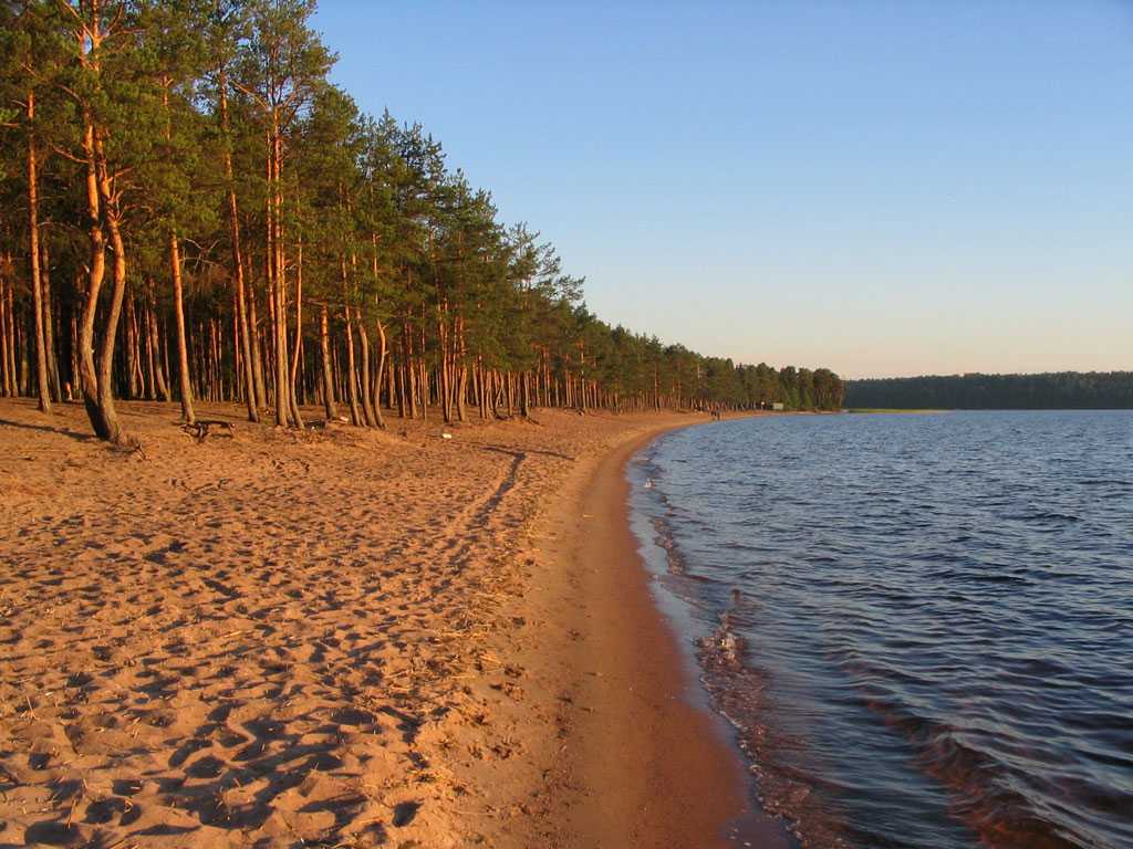 Рыбалка в ленобласти. 8 самых «клёвых» озёр региона