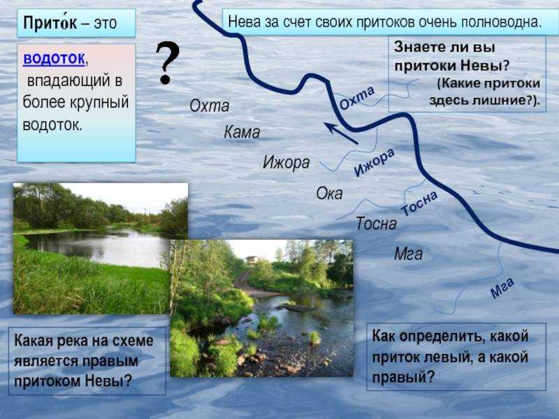 Доклад нева река для 2, 4 класса сообщение