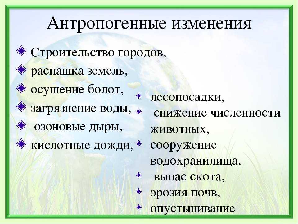 Река лена: характеристика, устье, загрязнение