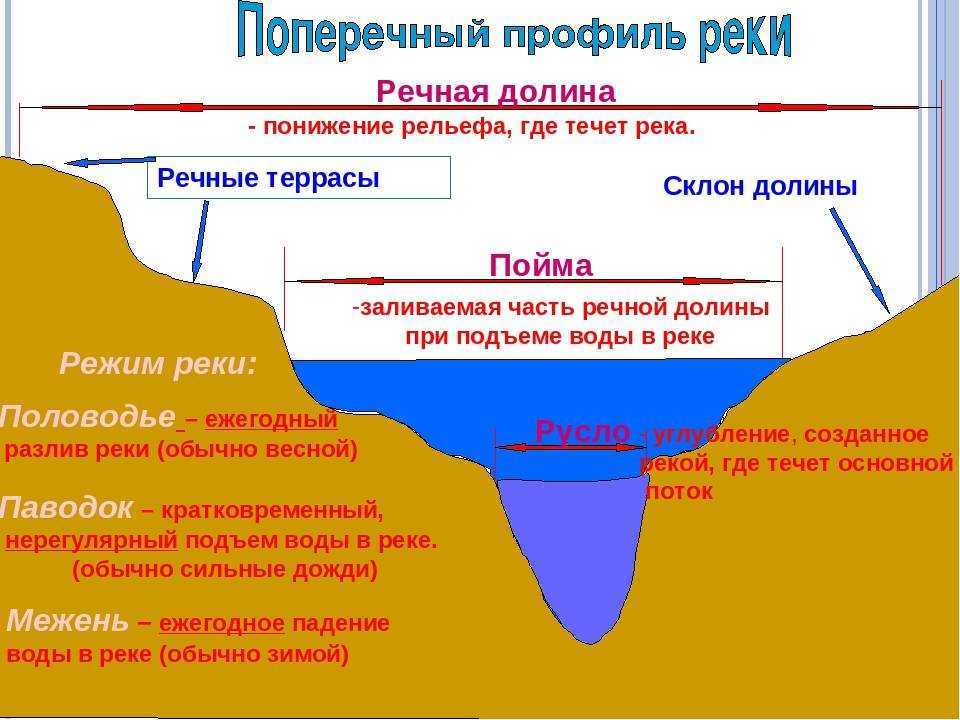 Урок 4. вода: сколько, когда и как пить. питьевые режимы