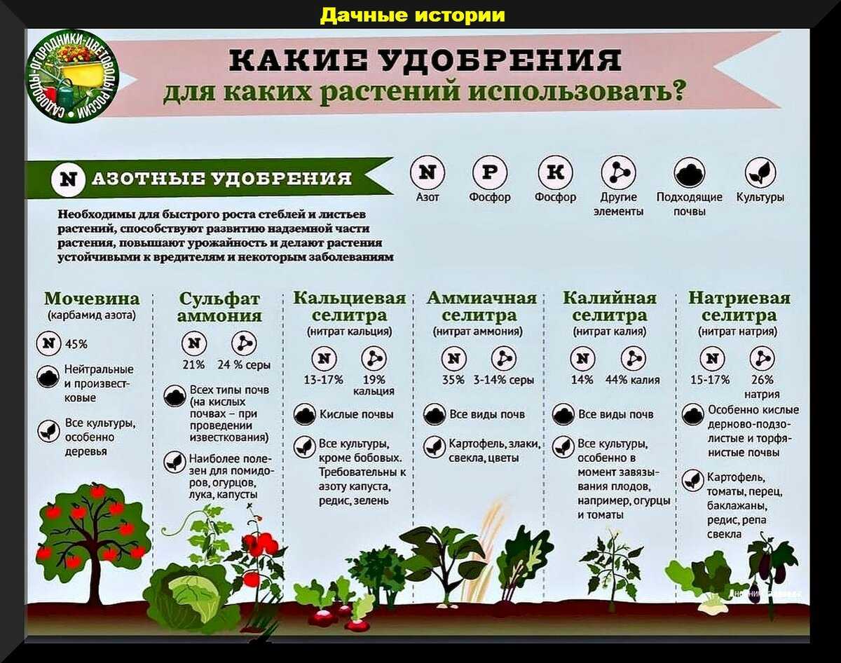 Подкормка растений кефиром? - сад, огород - страна мам