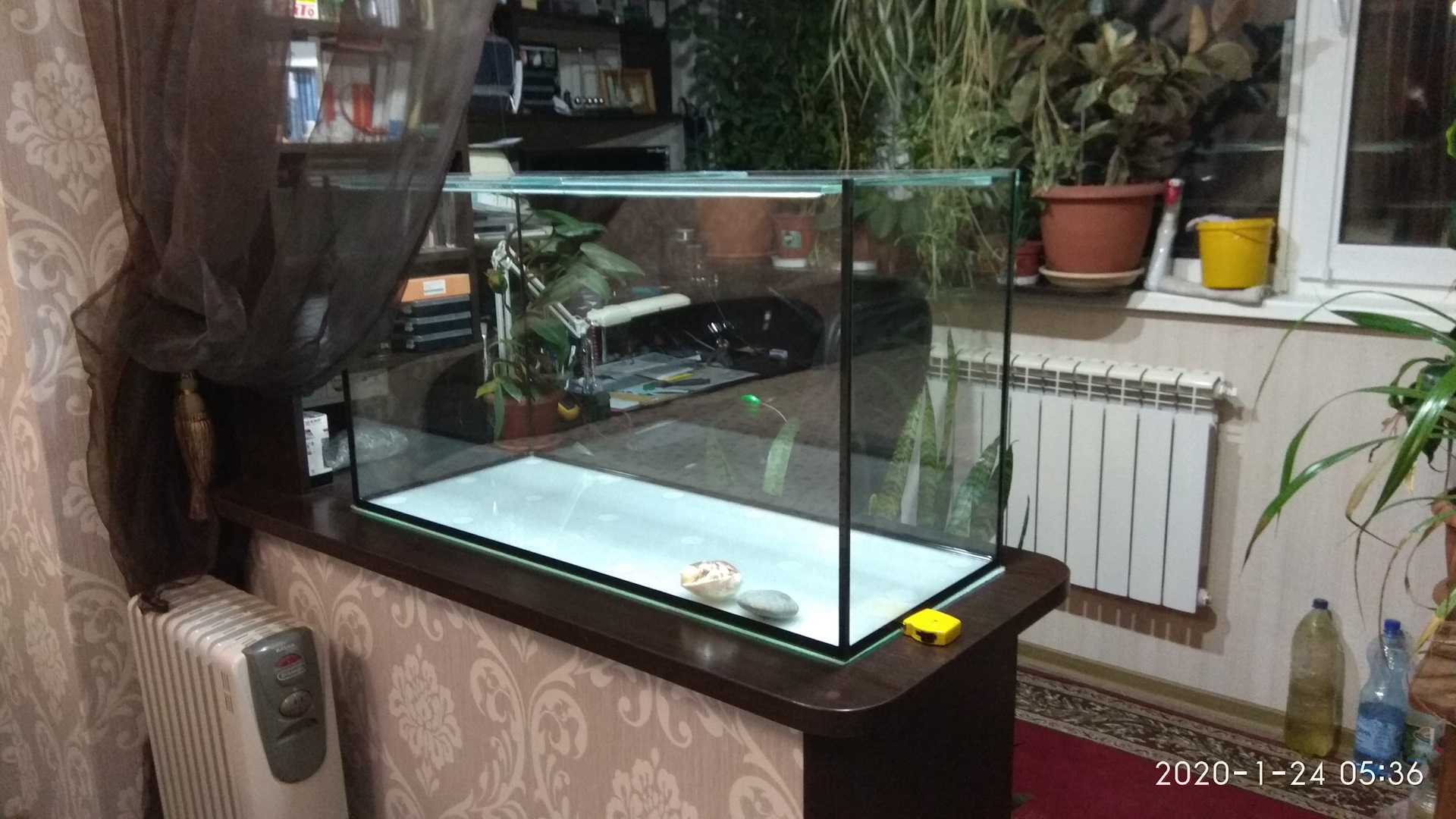 Аквариумные растения на подоконнике. аквариум на подоконнике у окна, возможно ли?