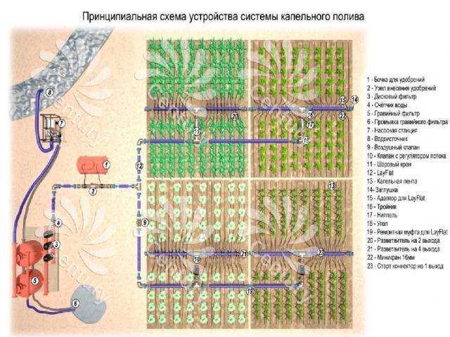 Виды капельной ленты и что лучше капельная лента или трубка? | агро сіті