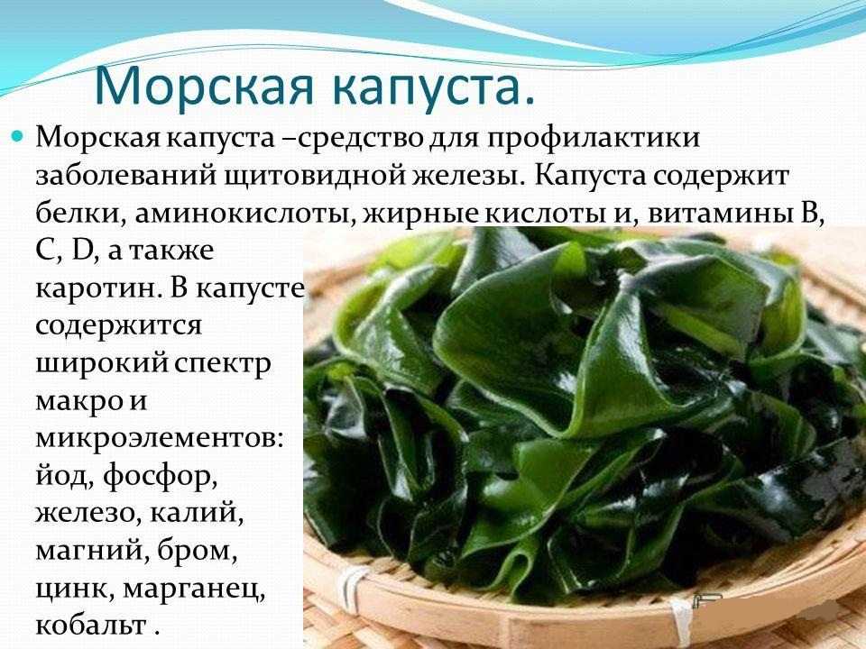 Морская вода: плотность, соленость, состав, почему нельзя пить и в ней легче плавать, свойства
