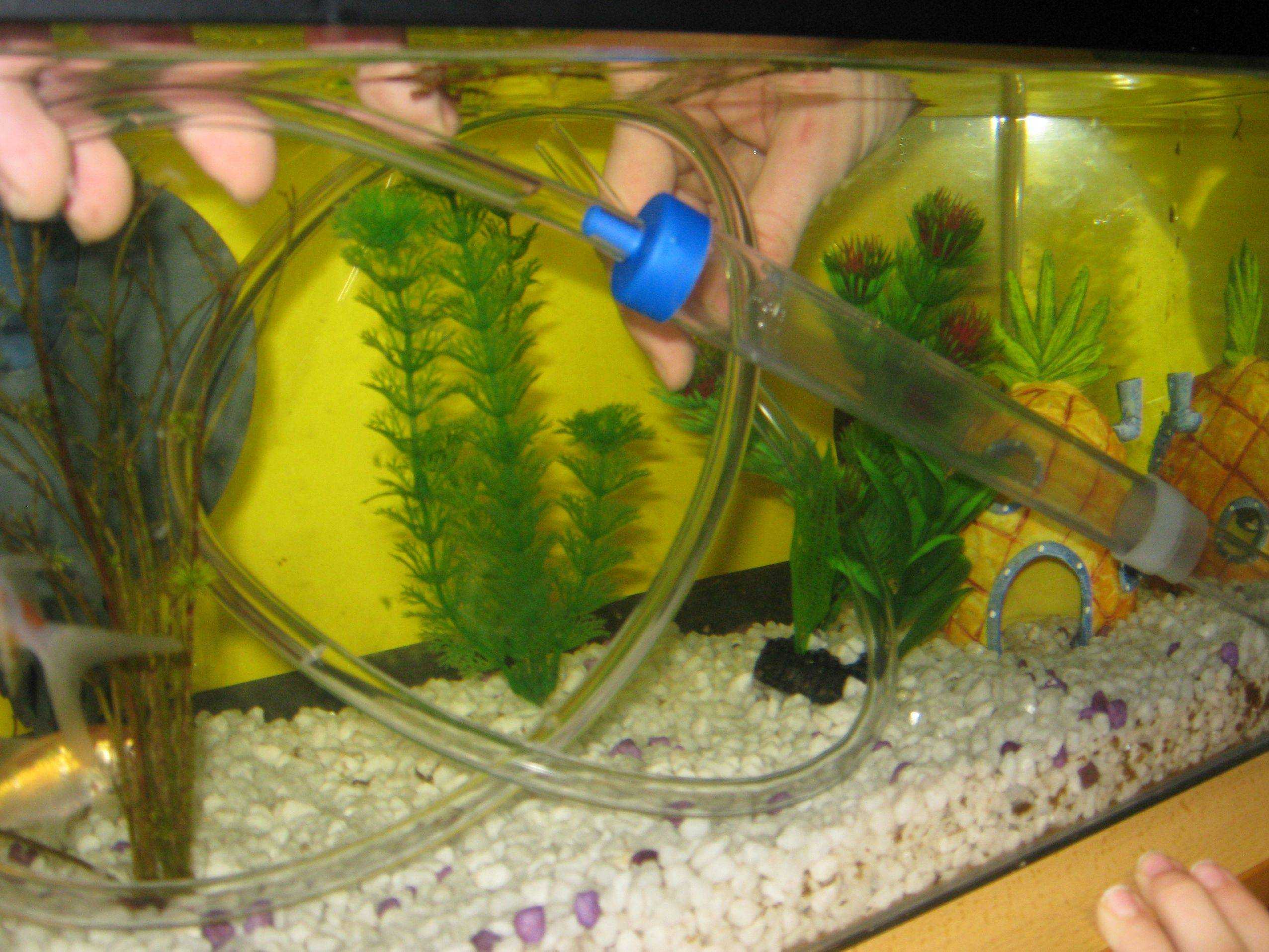 Tetra filteractive