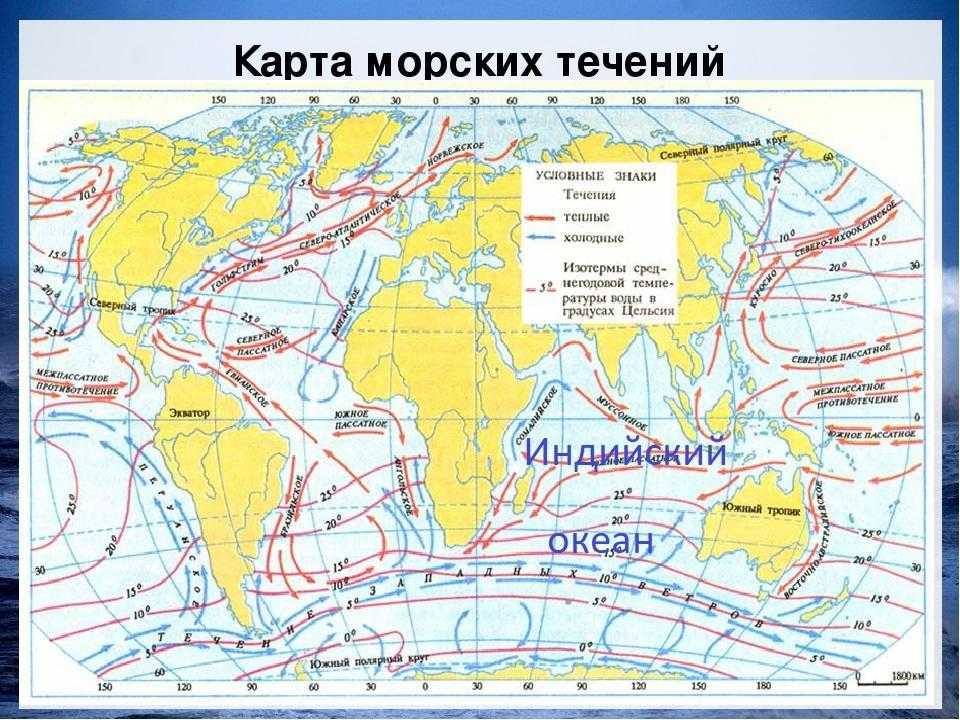 Тихий океан. всё самое интересное о самом древнем океане