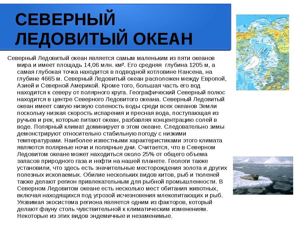 На картах появился пятый океан — южный: как столетний спор поменял географию земли. как называется 5 океан?