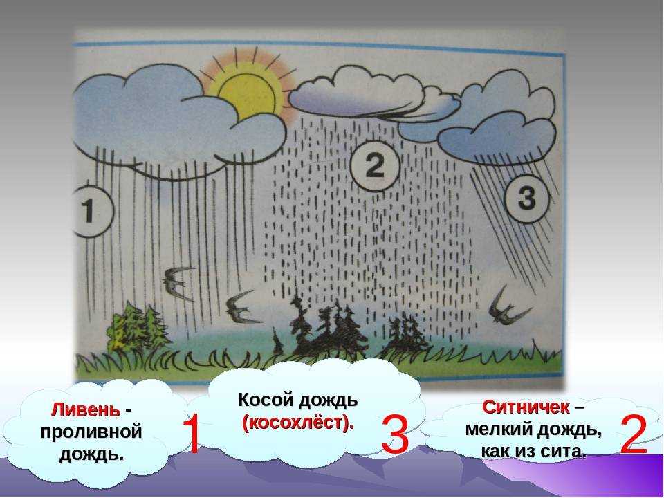 Почему в пустыне не идет дождь?