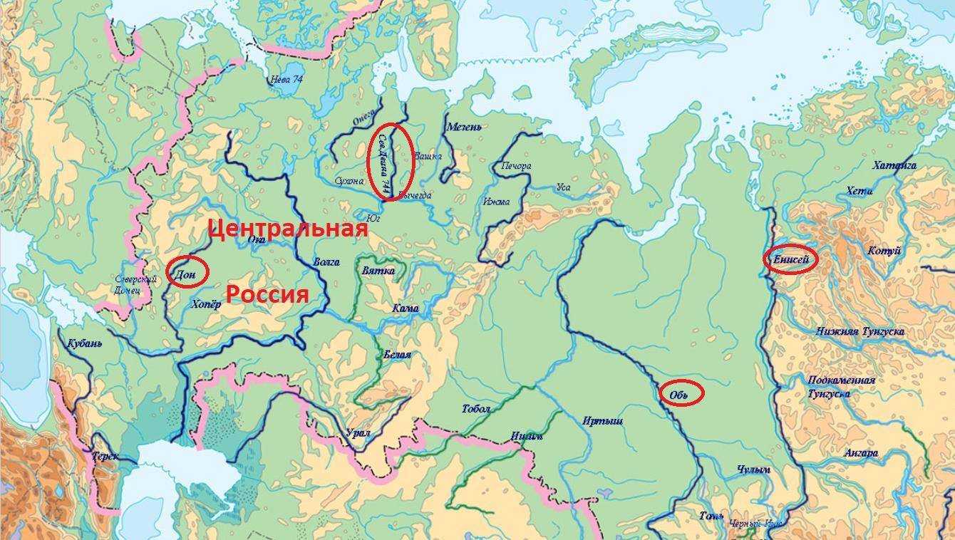 Река енисей характеристики флора и фауна фото