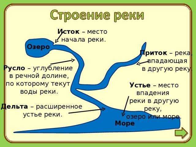 Река амазонка: истоки, длина, флора и фауна, отели и города