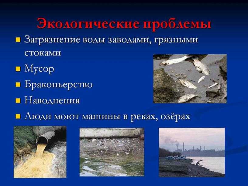 Река дон