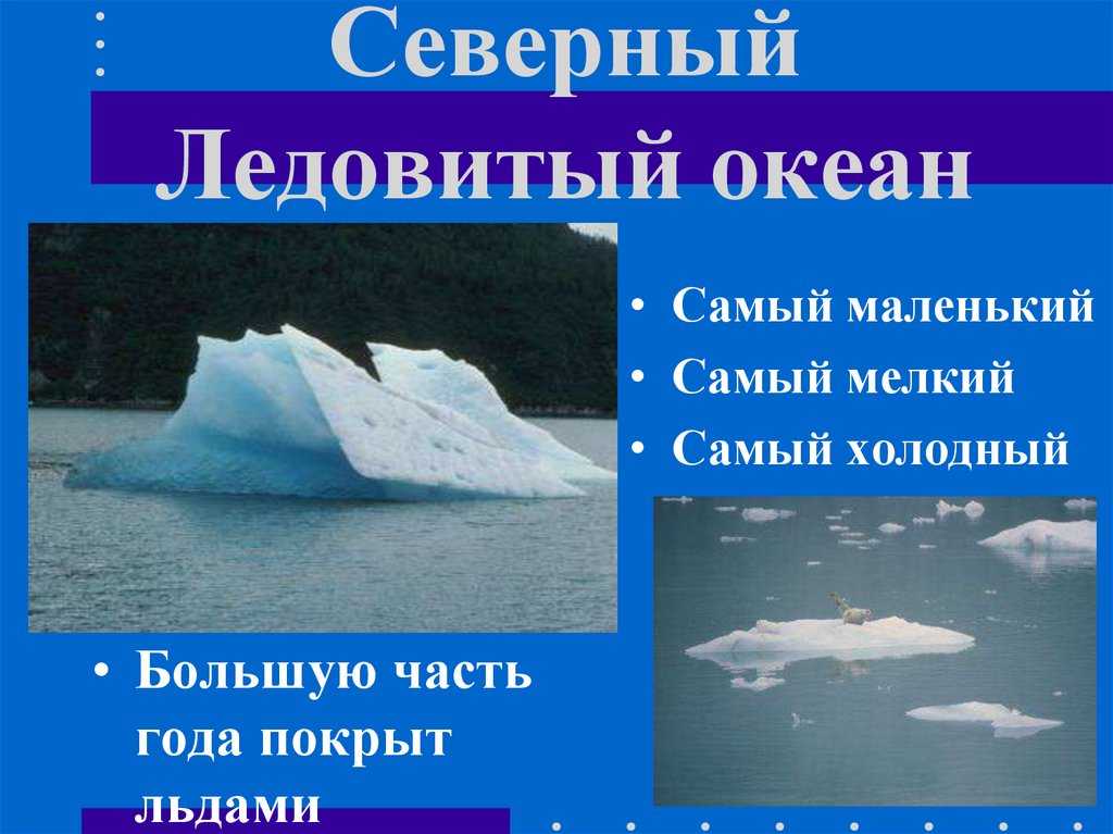 Северный ледовитый океан - сообщение доклад