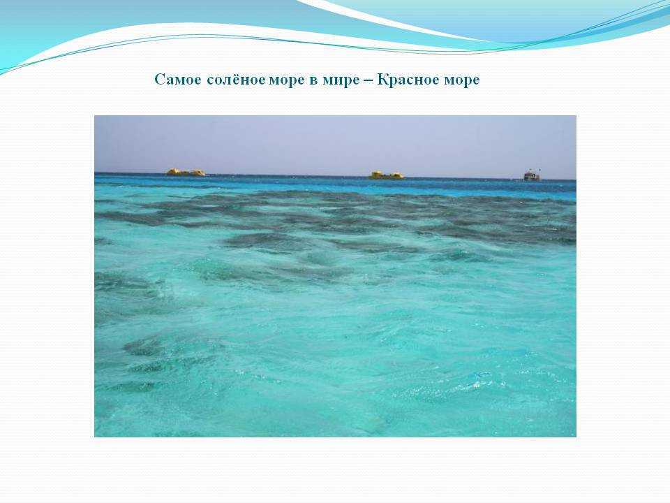 Почему море солёное, а некоторые озёра ещё солонее