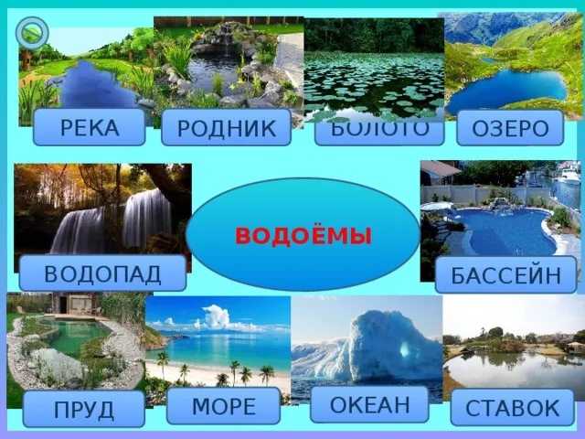 Что такое пруд и чем пруд отличается от озера