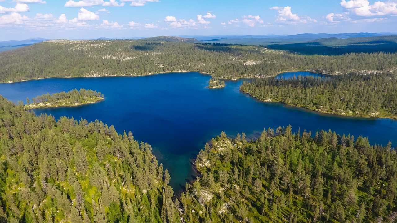 Озеро Комсозеро, вся информация, как добраться, все виды рыб, глубины, рыбалка, отдых, рельеф дна, подробное описание
