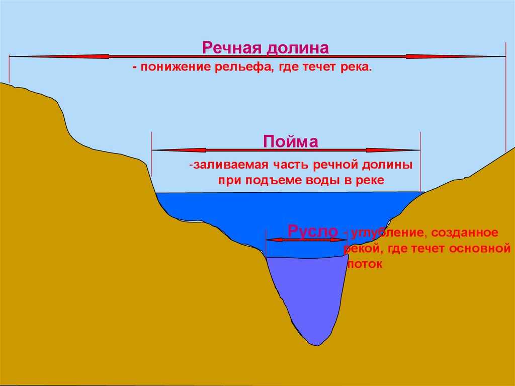 Пойма и долина реки: что это такое, как образуются, примеры
