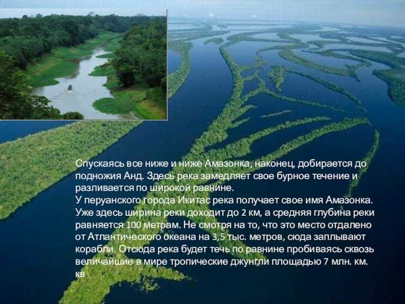 Своенравная рекордсменка – река амазонка