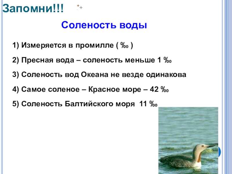 Почему вода в океане солёная, интересные факты и теория